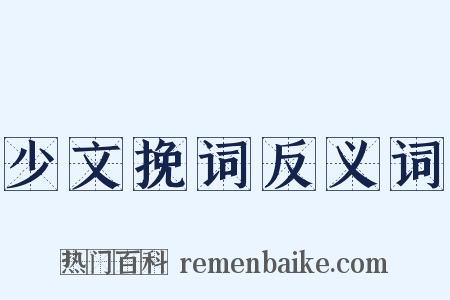 少文挽词反义词是什么意思的图片